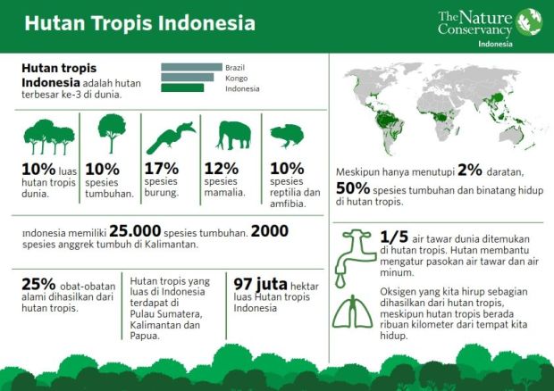Infografis Hutan Tropis Indonesia